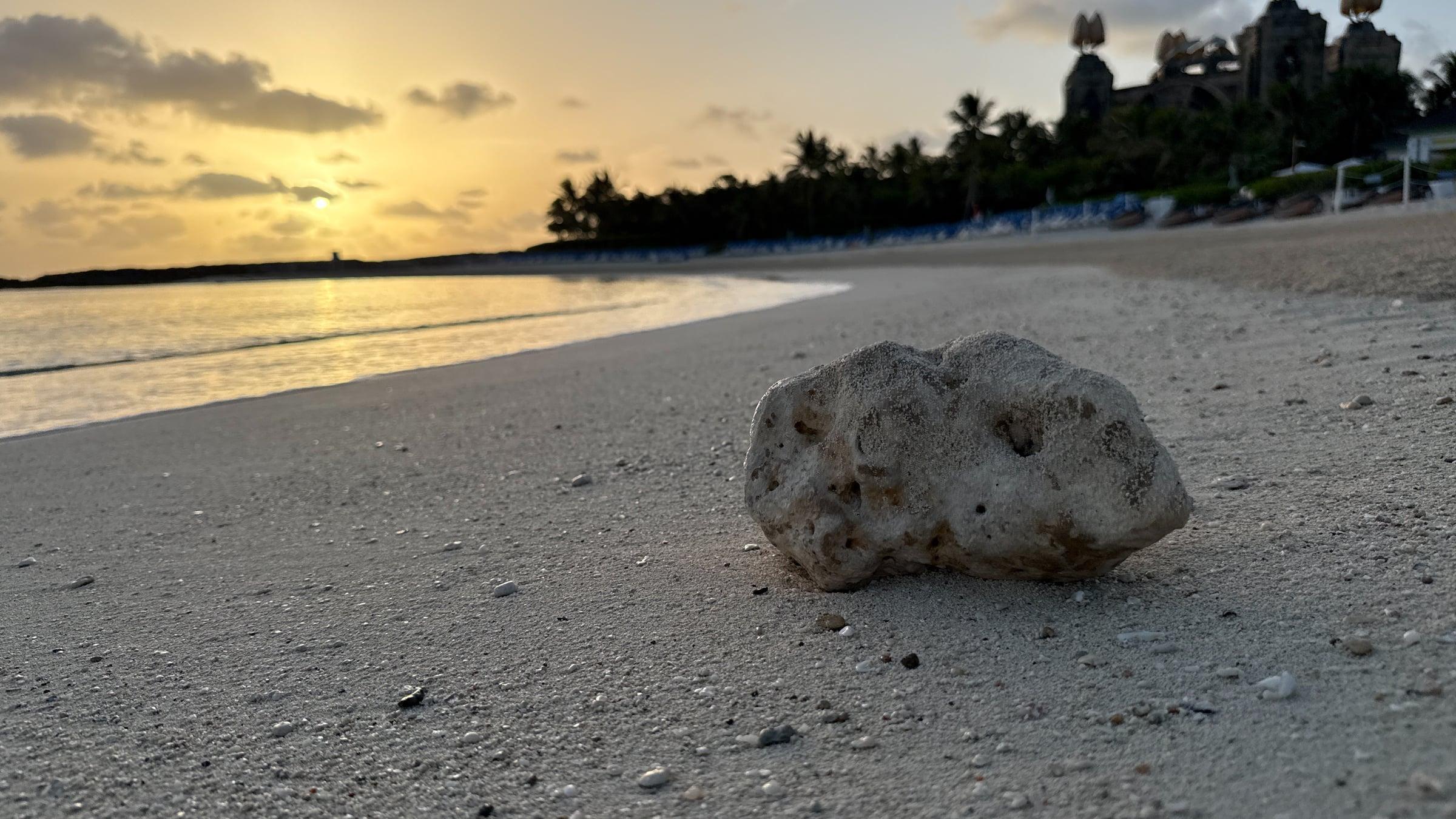 A weathered rock rests on a sandy beach, with golden morning light over calm water and buildings beyond the shoreline.